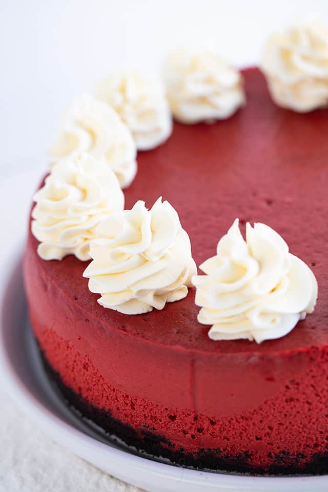 red velvet cheesecake on a white texture surface with swirls of cream cheese whipped cream