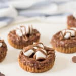 mini cheesecakes with chocolate chips in front of it on a white background