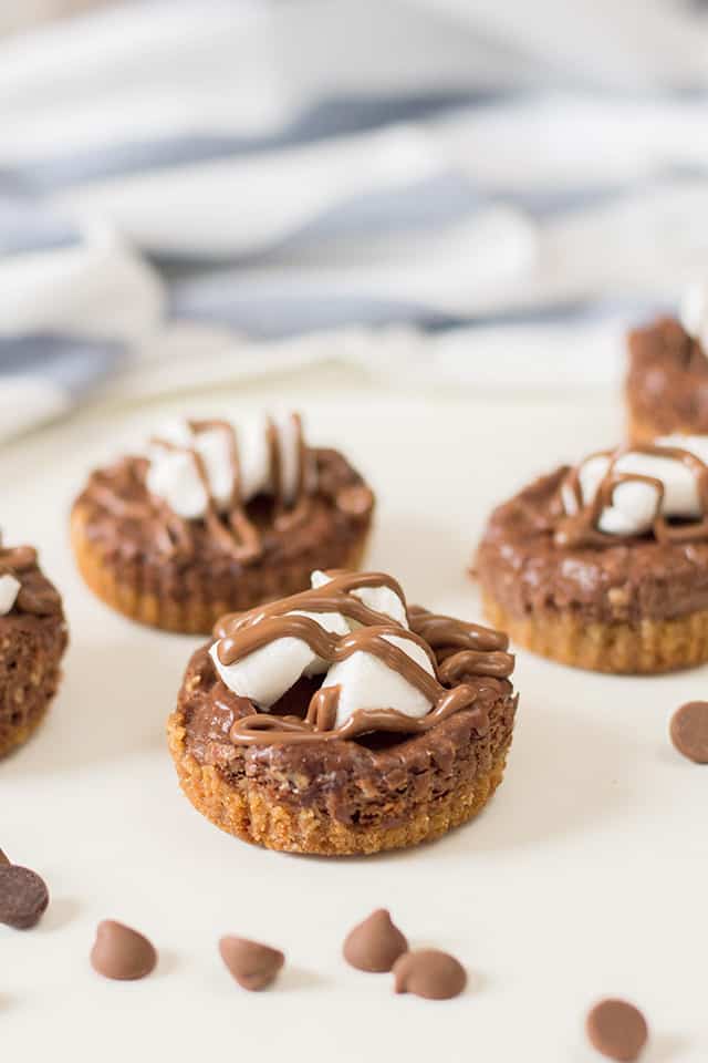 mini cheesecakes with chocolate chips in front of it on a white background