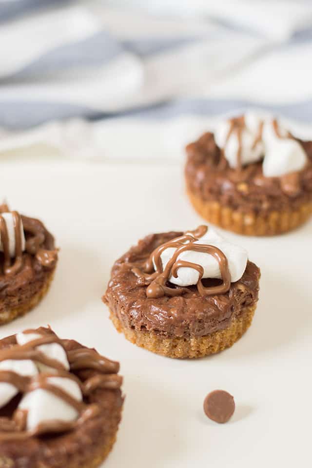 s'mores cheesecakes on a white background with a chocolate chip