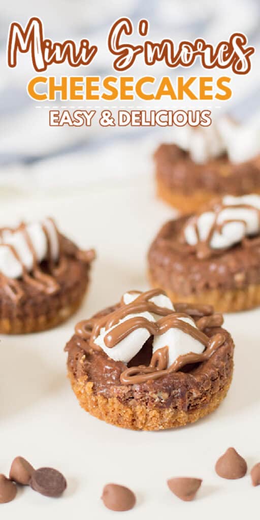 zoomed in photo of mini s'mores cheesecakes with text at the top