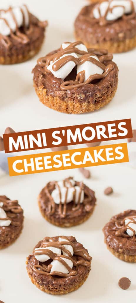 collage of mini smores cheesecake photos with block text in the middle