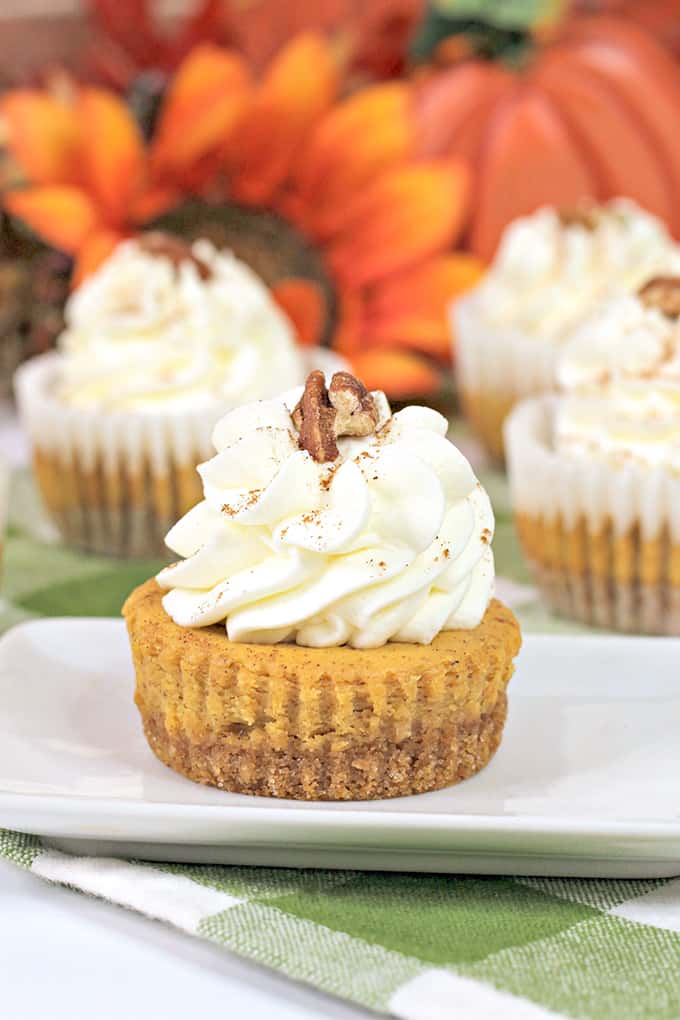 mini pumpkin cheesecakes on a white rectangle plate with a green and white linen and orange sunflowers behind the cheesecakes