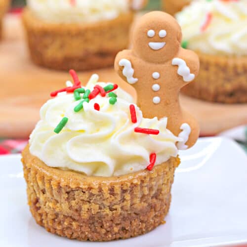 mini gingerbread cheesecake on a white plate with a red and green fabric under the cheesecake